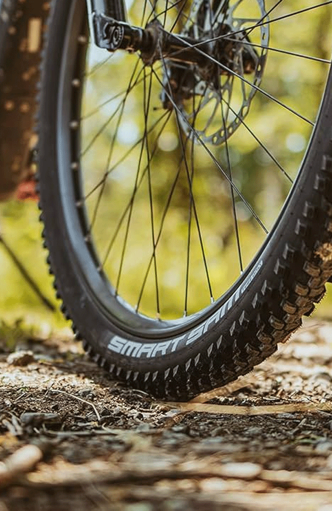 SCHWALBE (Tires)